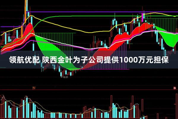 领航优配 陕西金叶为子公司提供1000万元担保