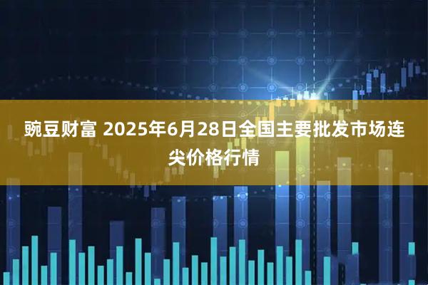 豌豆财富 2025年6月28日全国主要批发市场连尖价格行情