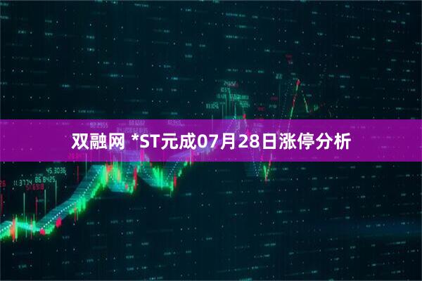 双融网 *ST元成07月28日涨停分析