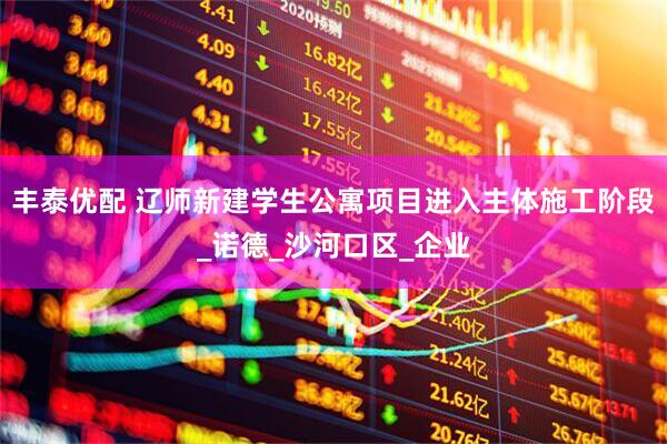 丰泰优配 辽师新建学生公寓项目进入主体施工阶段_诺德_沙河口区_企业