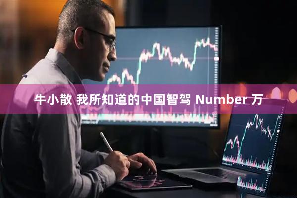 牛小散 我所知道的中国智驾 Number 万