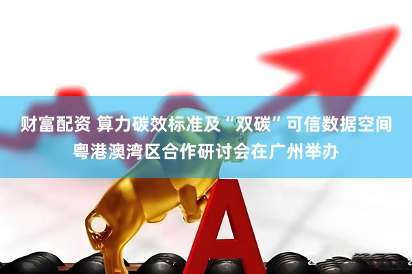 财富配资 算力碳效标准及“双碳”可信数据空间粤港澳湾区合作研讨会在广州举办
